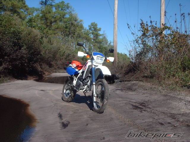 1994 HONDA XR 650 | Picture 21181 motorcycle photo