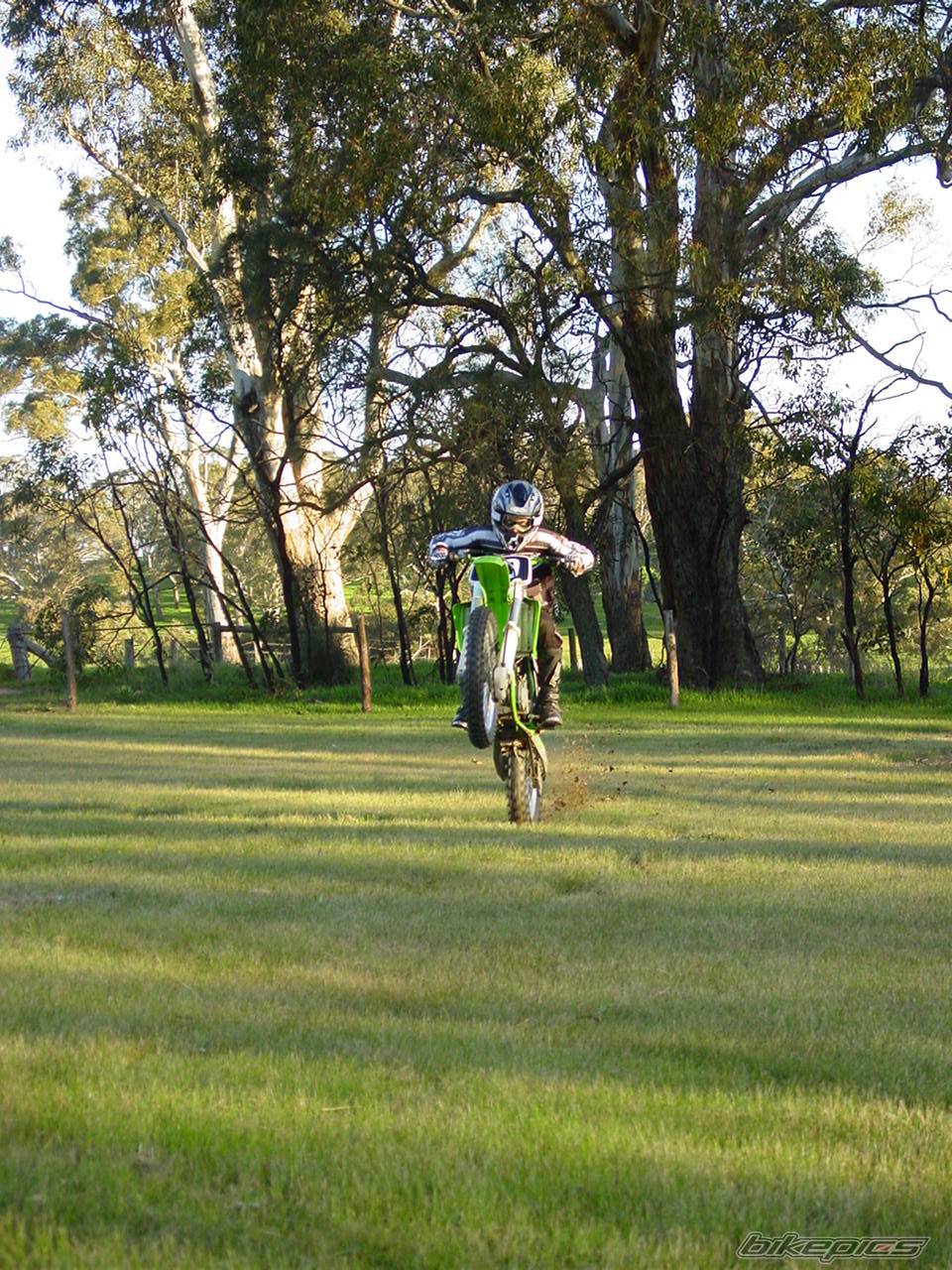 2000 KAWASAKI KX 125 | Picture 211820 motorcycle photo