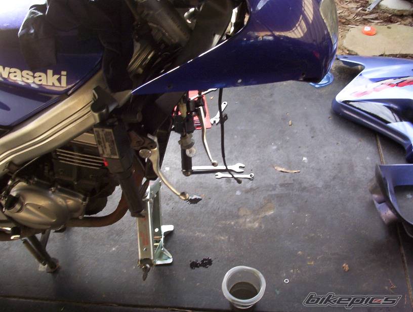 1996 KAWASAKI ZZR 250 | Picture 211893 motorcycle photo