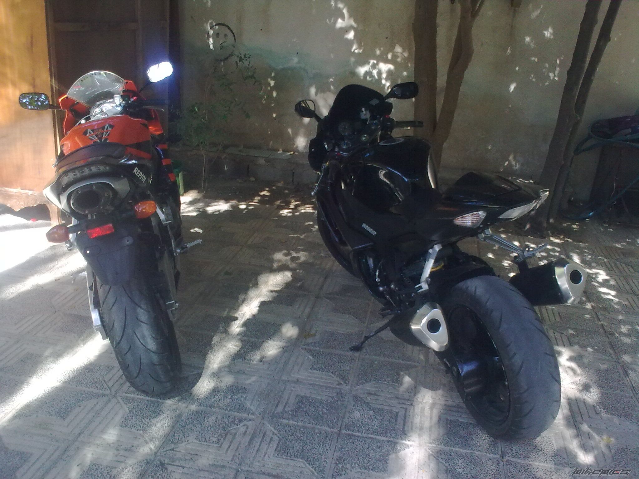 2008 SUZUKI GSX R 1000 | Picture 2119089 motorcycle photo