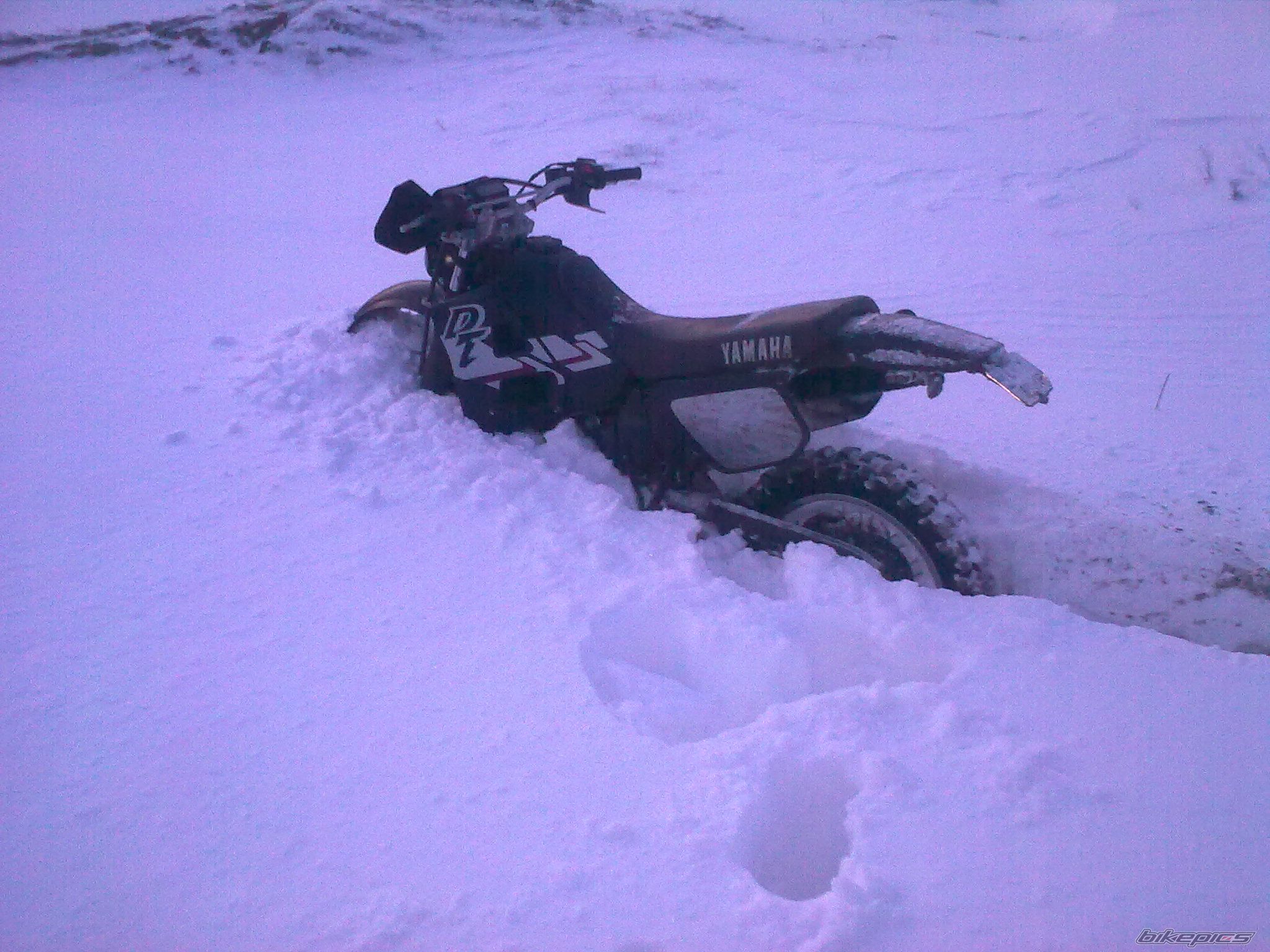    | Picture 2120110 motorcycle photo