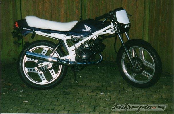 1981 HONDA NSR 50 | Picture 21209 motorcycle photo