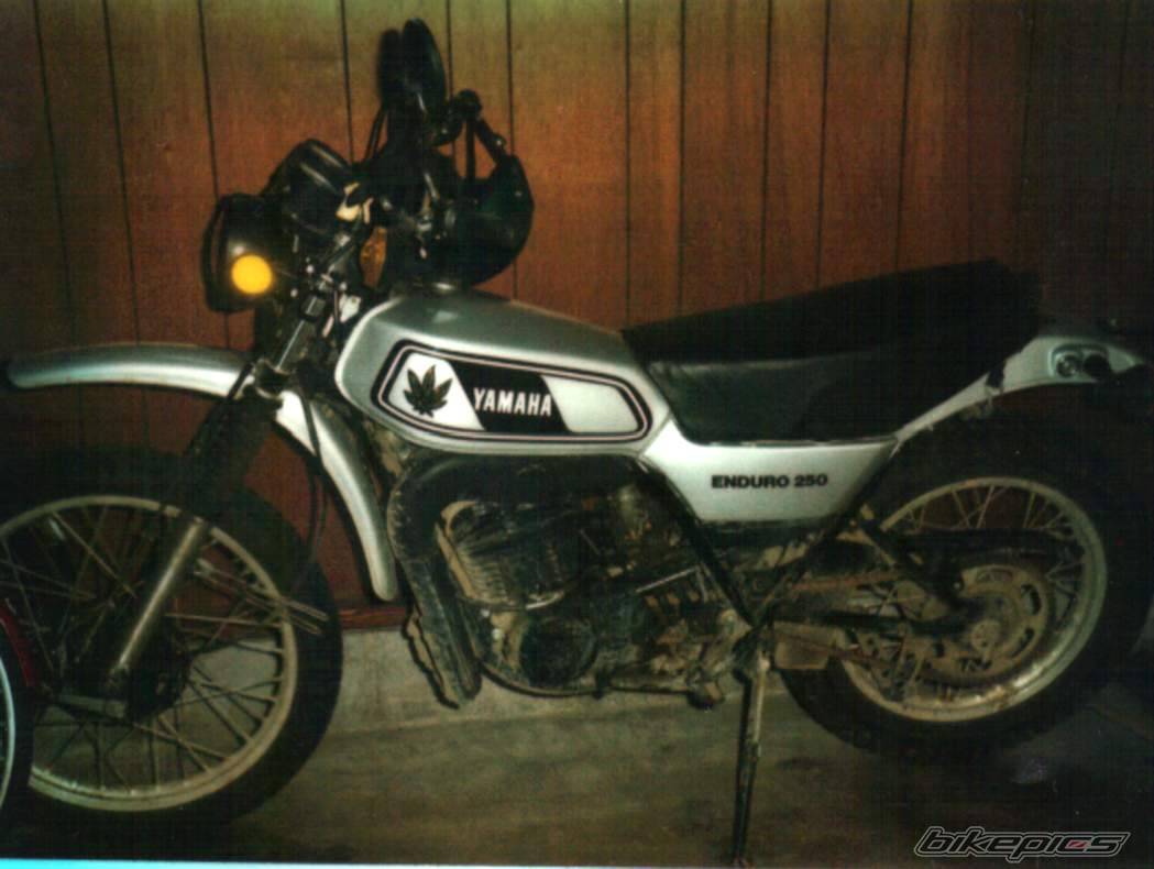 1978 YAMAHA DT 250 | Picture 212216 motorcycle photo