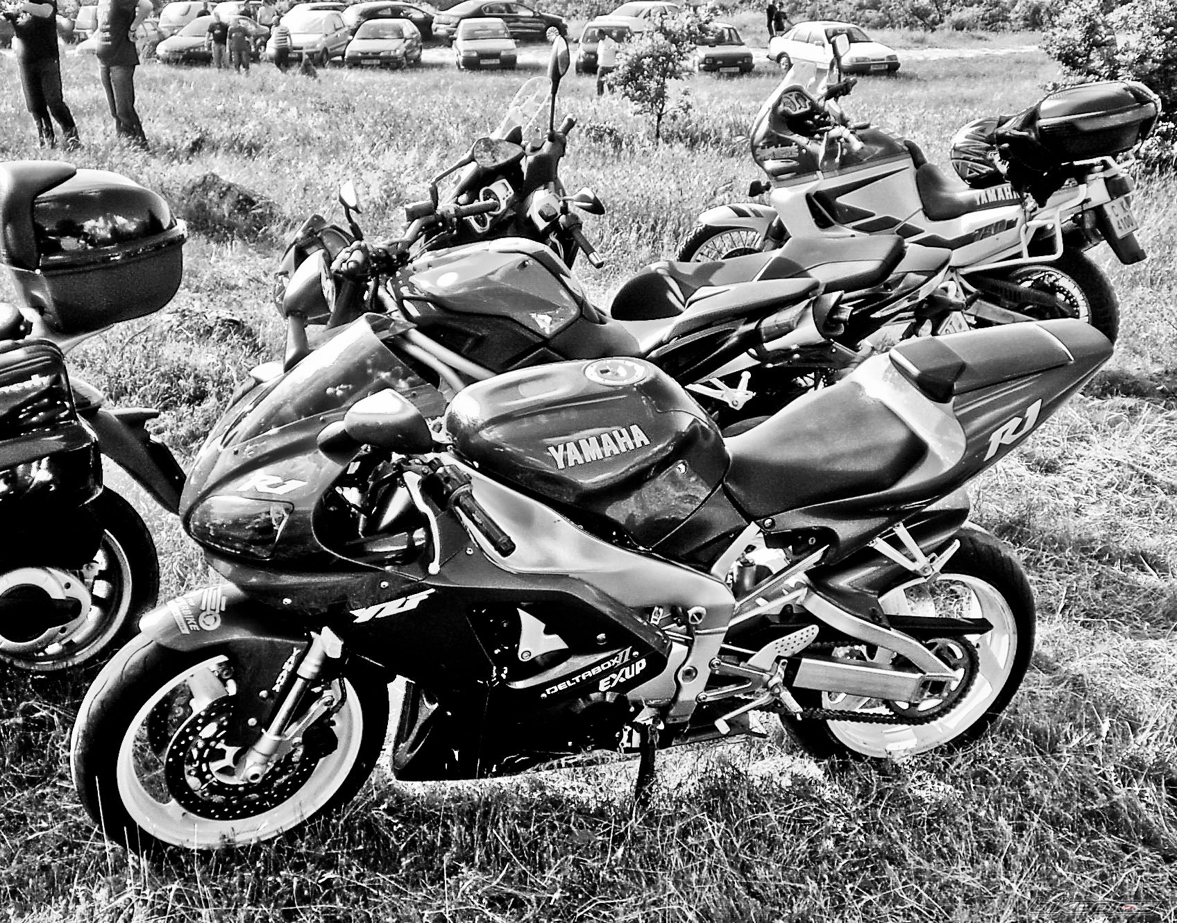    | Picture 2122274 motorcycle photo
