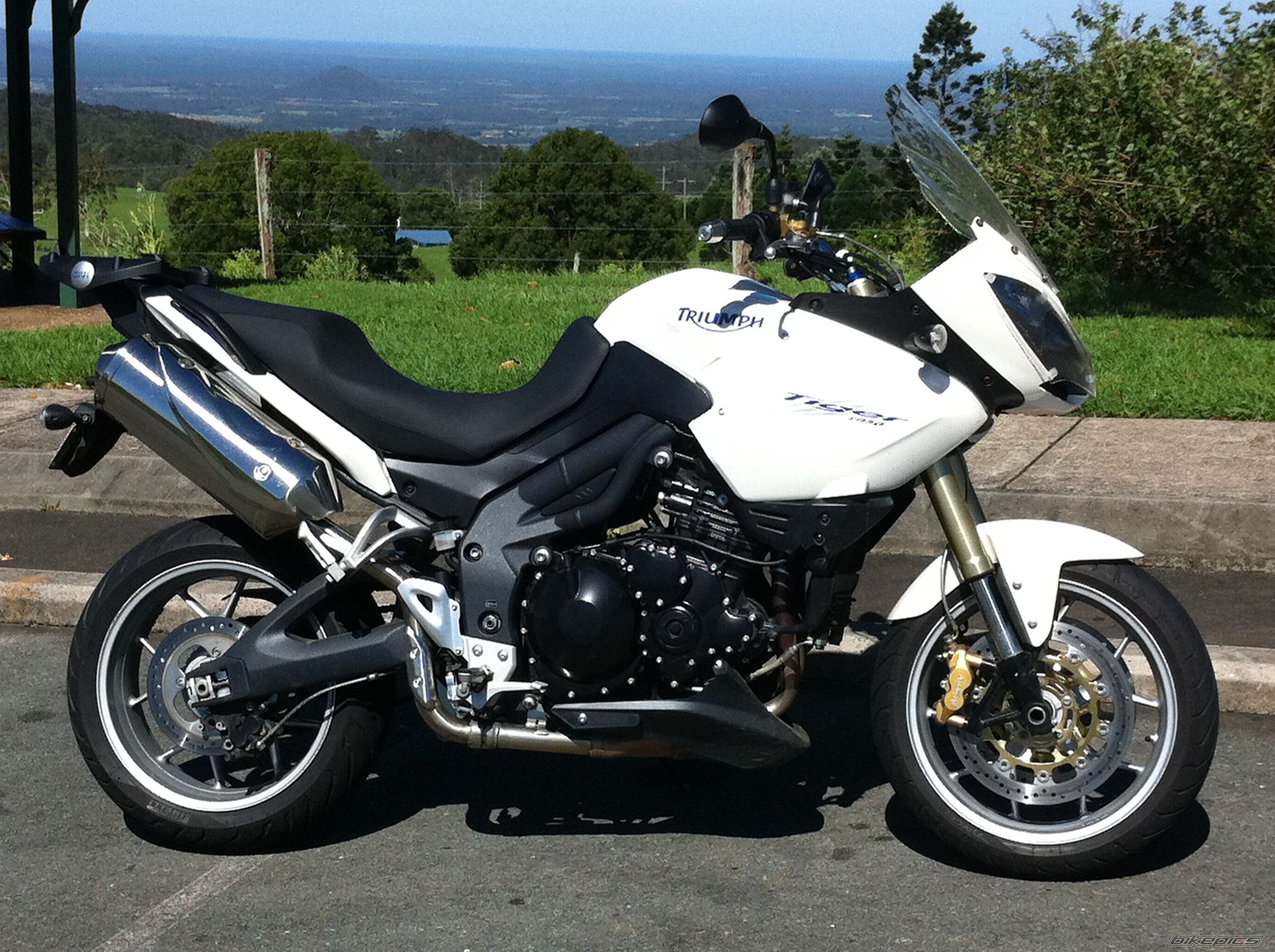 2008 TRIUMPH TIGER | Picture 2123421 motorcycle photo