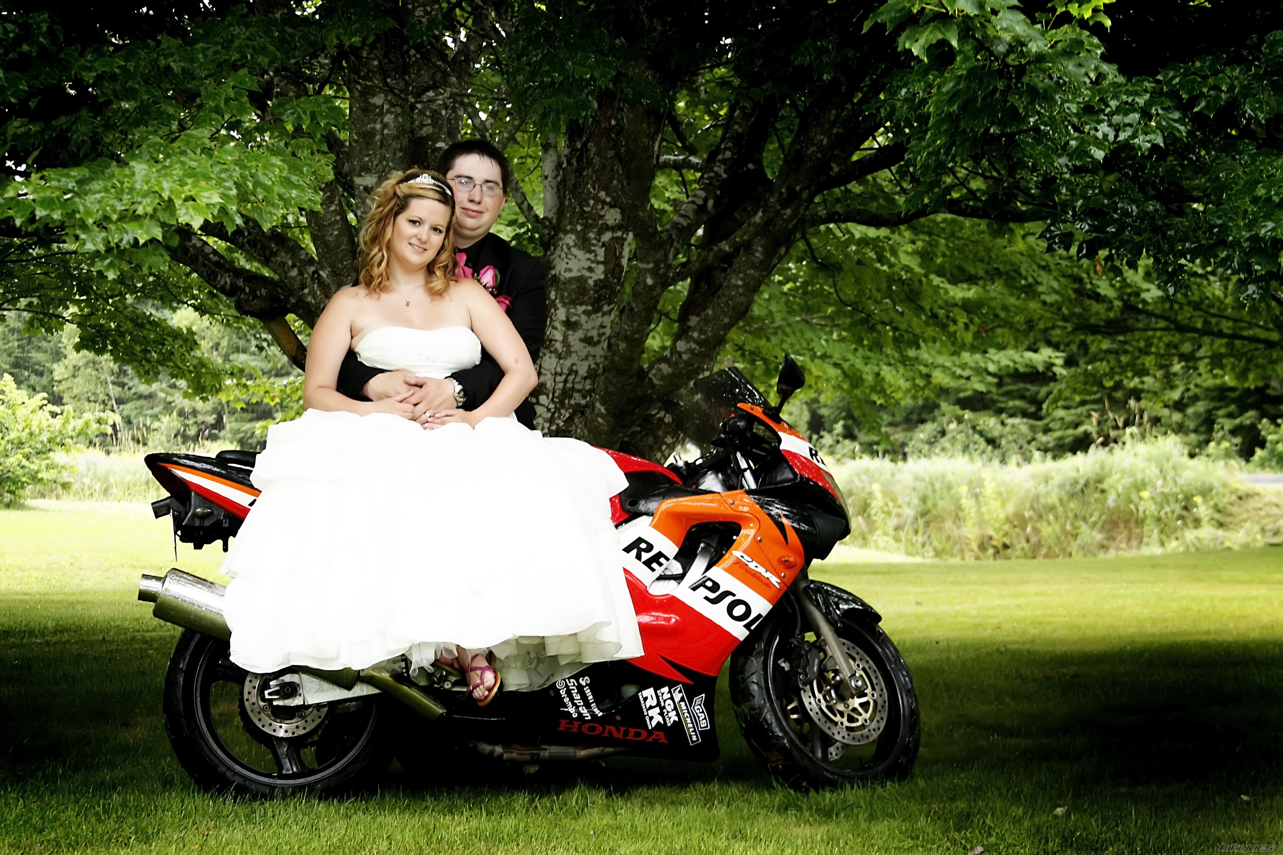 2008 HONDA CBR 125 | Picture 2124014 motorcycle photo