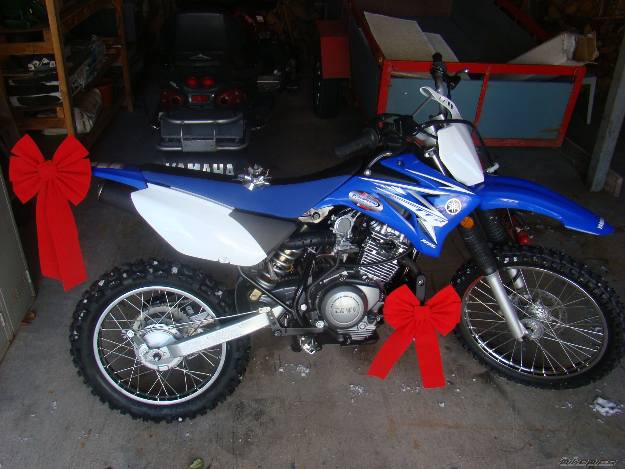 2009 YAMAHA TTR 125 | Picture 2125008 motorcycle photo