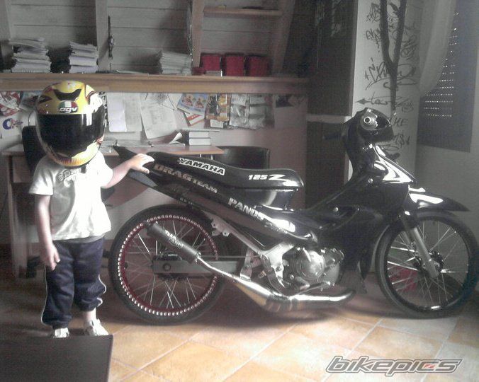 2010 YAMAHA Z 125 | Picture 2125112 motorcycle photo
