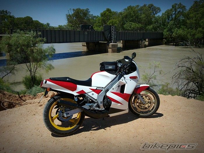1988 YAMAHA TZR 250 | Picture 2125295 motorcycle photo