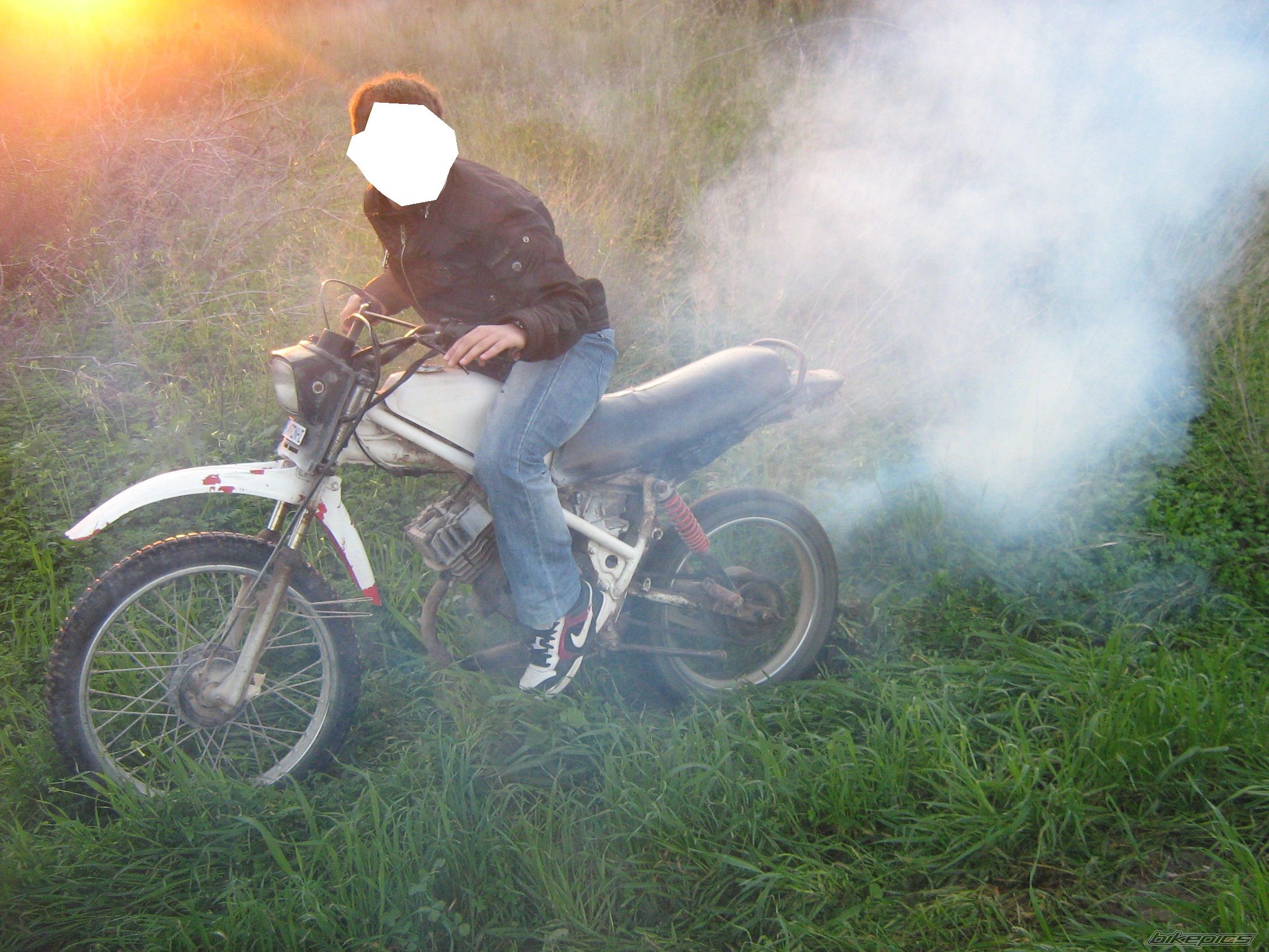 2010 HONDA MT 50 | Picture 2125563 motorcycle photo