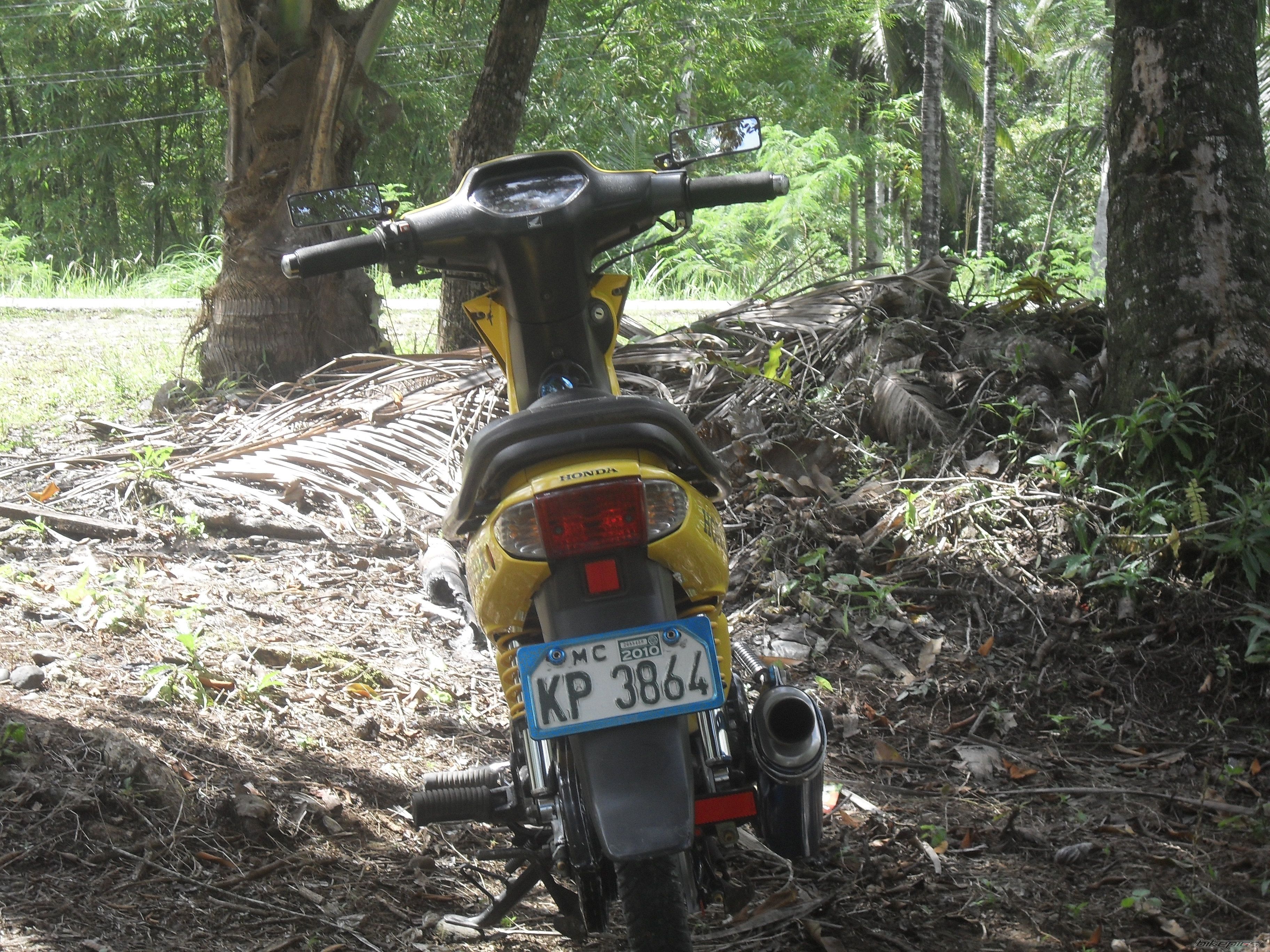 2004 HONDA WAVE ALPHA 100 | Picture 2125794 motorcycle photo