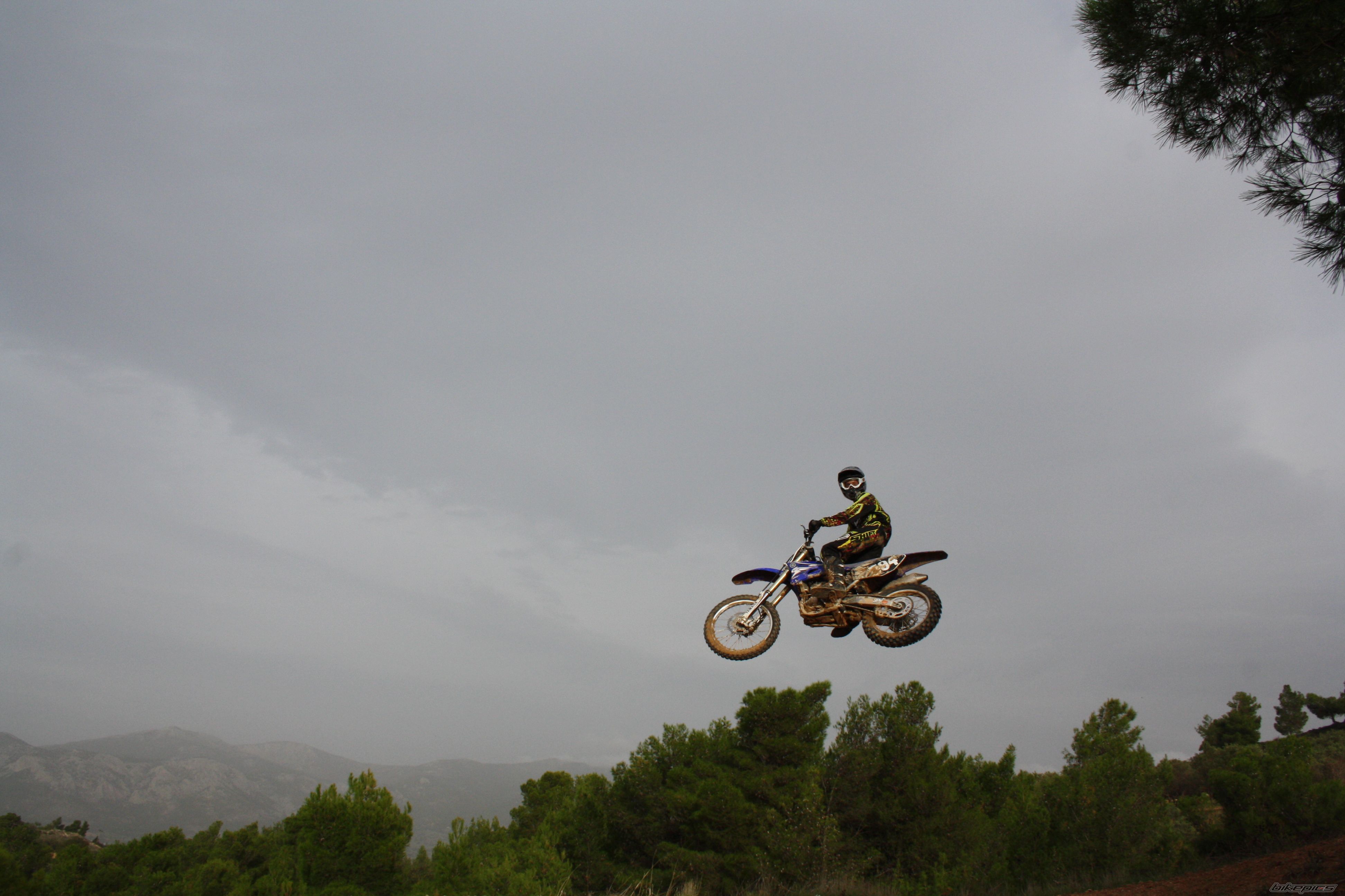 2009 YAMAHA YZ 250F | Picture 2126387 motorcycle photo