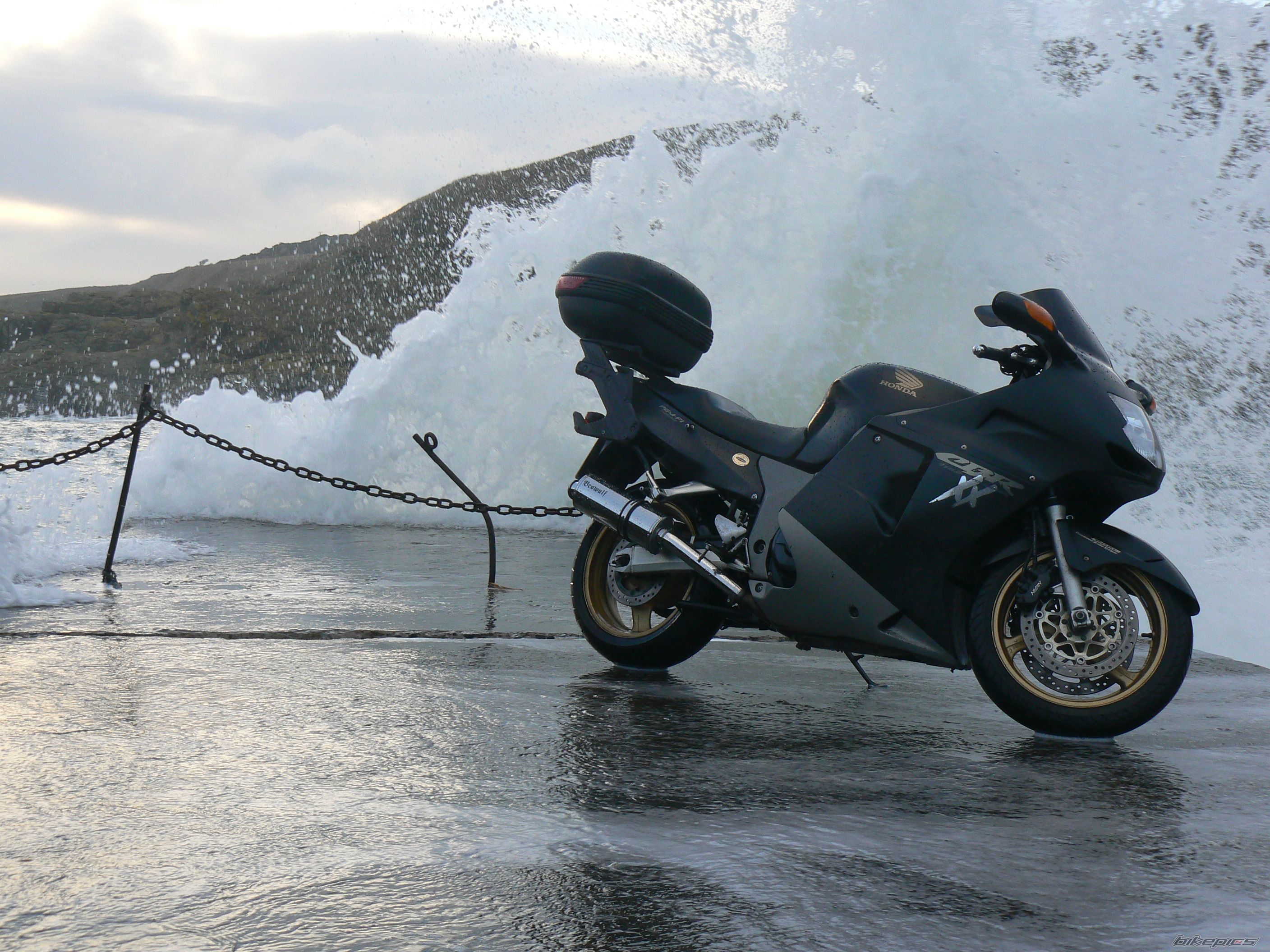 2004 HONDA XX BLACKBIRD | Picture 2126432 motorcycle photo