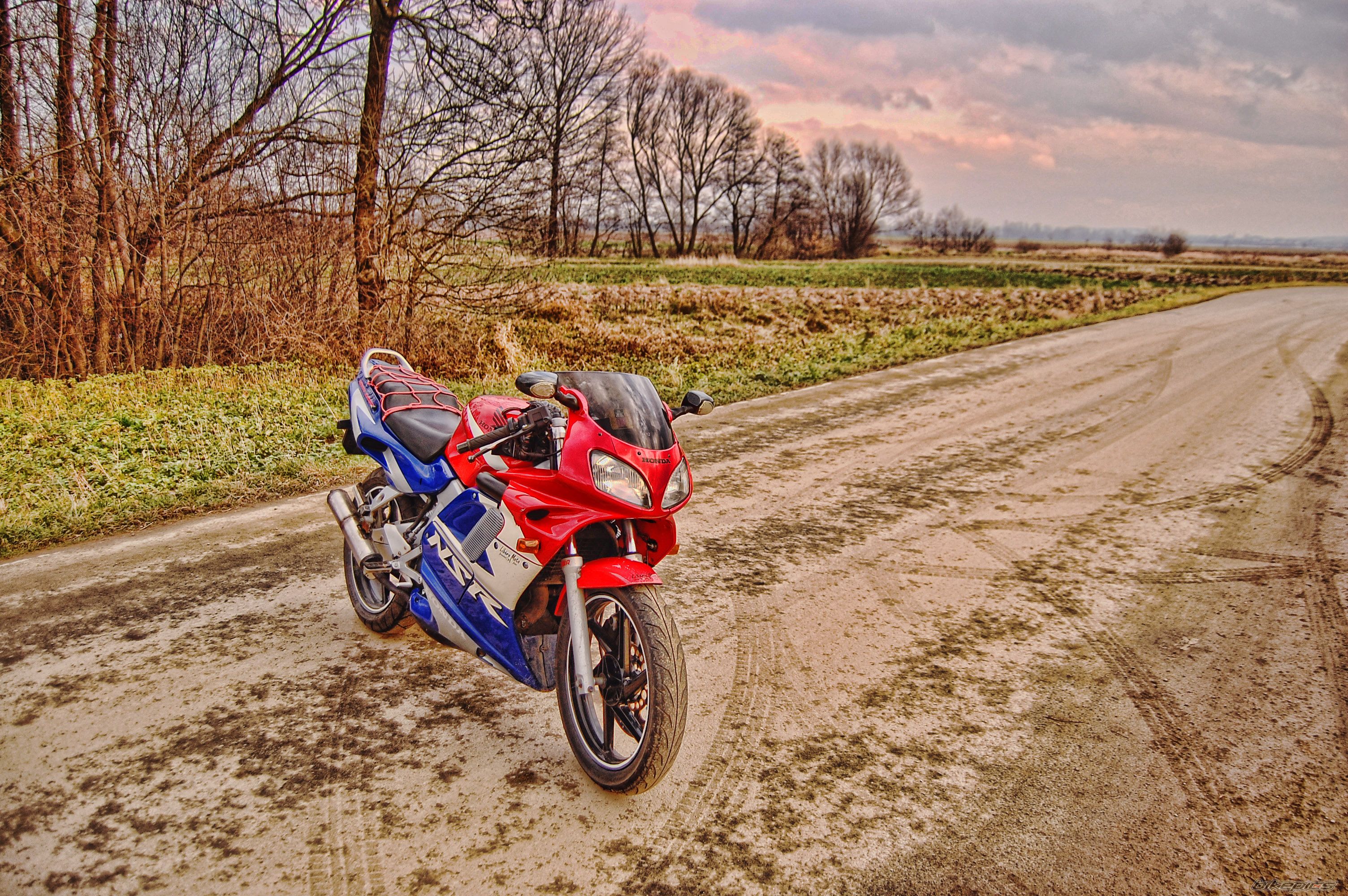 2002 HONDA NSR 125 | Picture 2126816 motorcycle photo