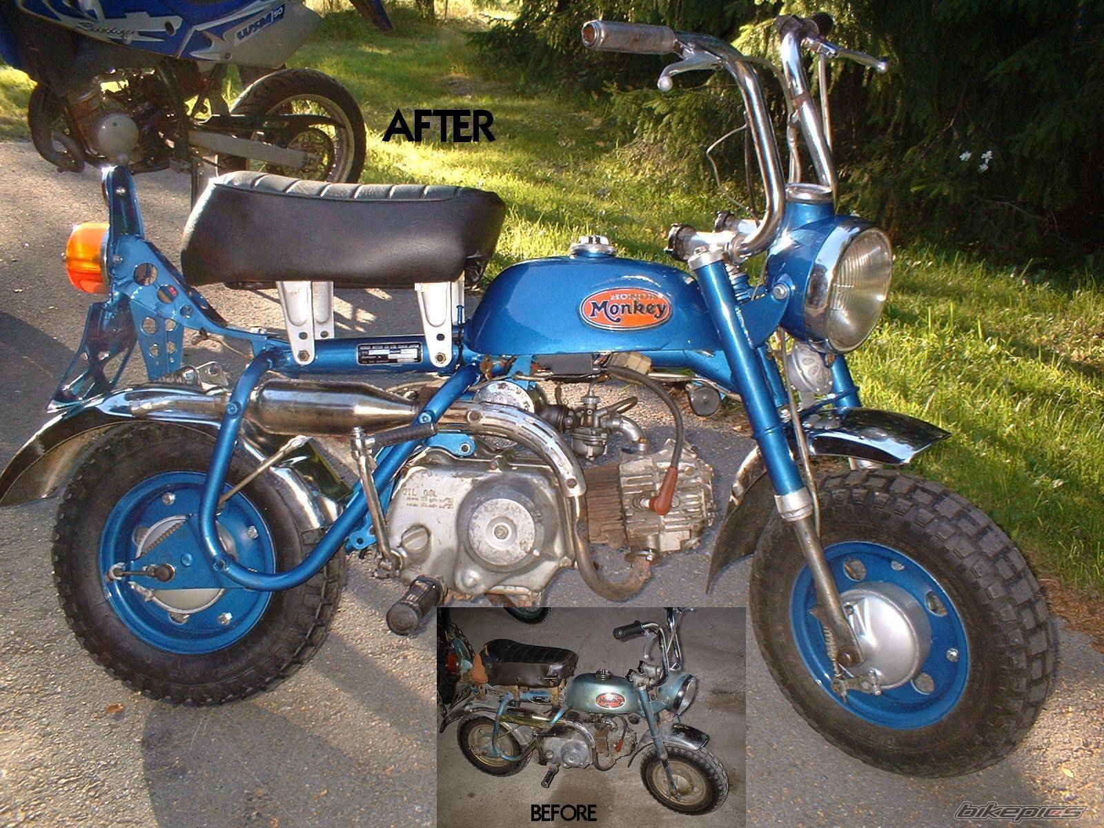 1973 HONDA Z 50 | Picture 212715 motorcycle photo