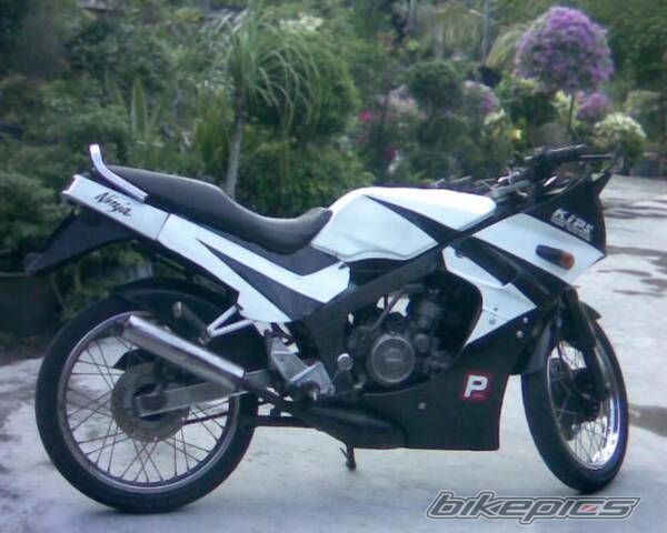 1991 KAWASAKI KR 150 | Picture 2127159 motorcycle photo