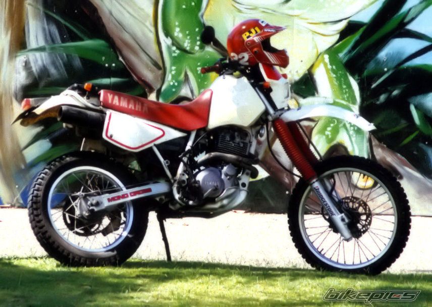 1991 YAMAHA TTR 600 | Picture 2127255 motorcycle photo