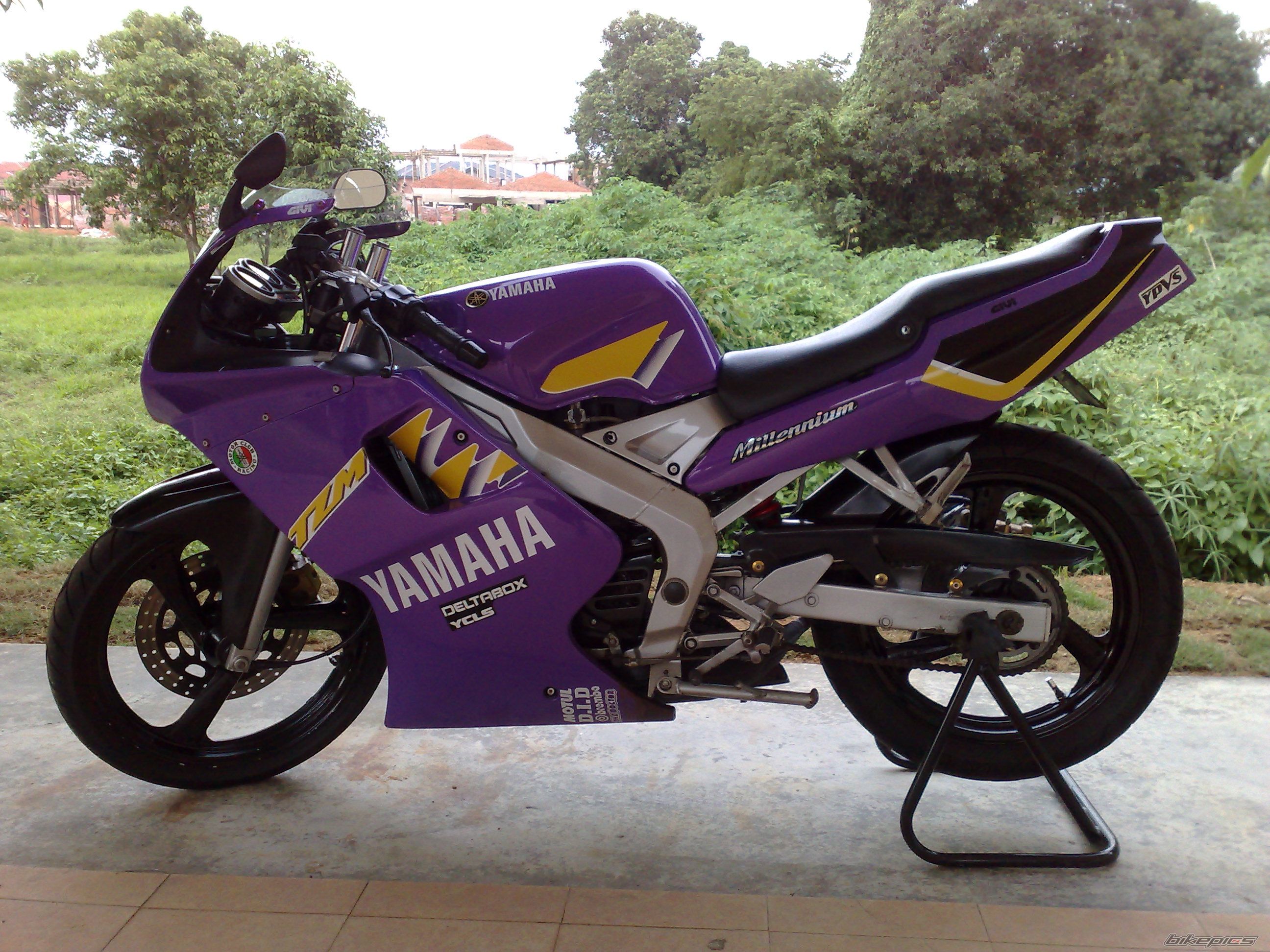 1997 YAMAHA TZM 150 | Picture 2127874 motorcycle photo