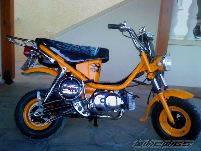 2010 YAMAHA LB 50 CHAPPY | Picture 2128074 motorcycle photo