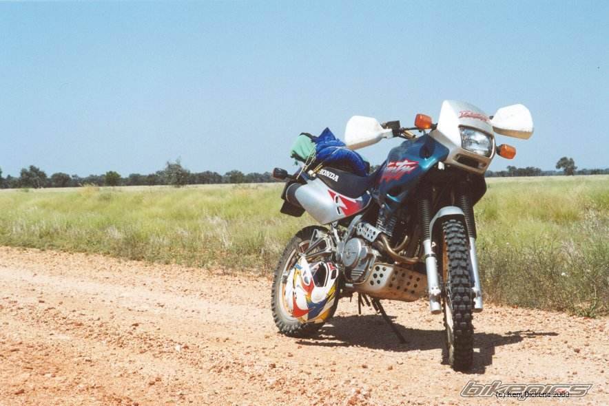 1999 HONDA NX 650 DOMINATOR | Picture 212896 motorcycle photo