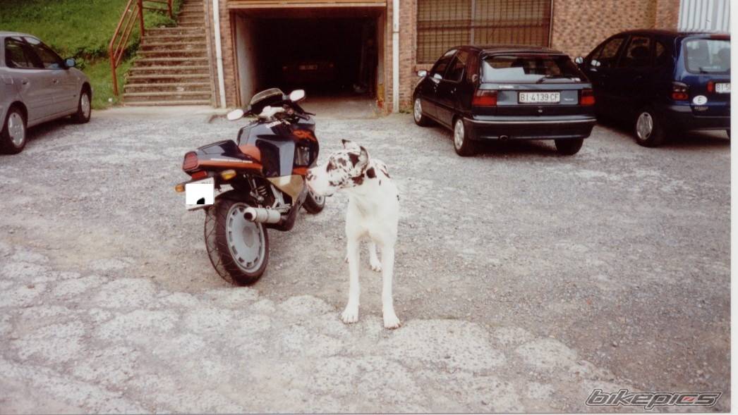 1994 GILERA CX 125 | Picture 212908 motorcycle photo
