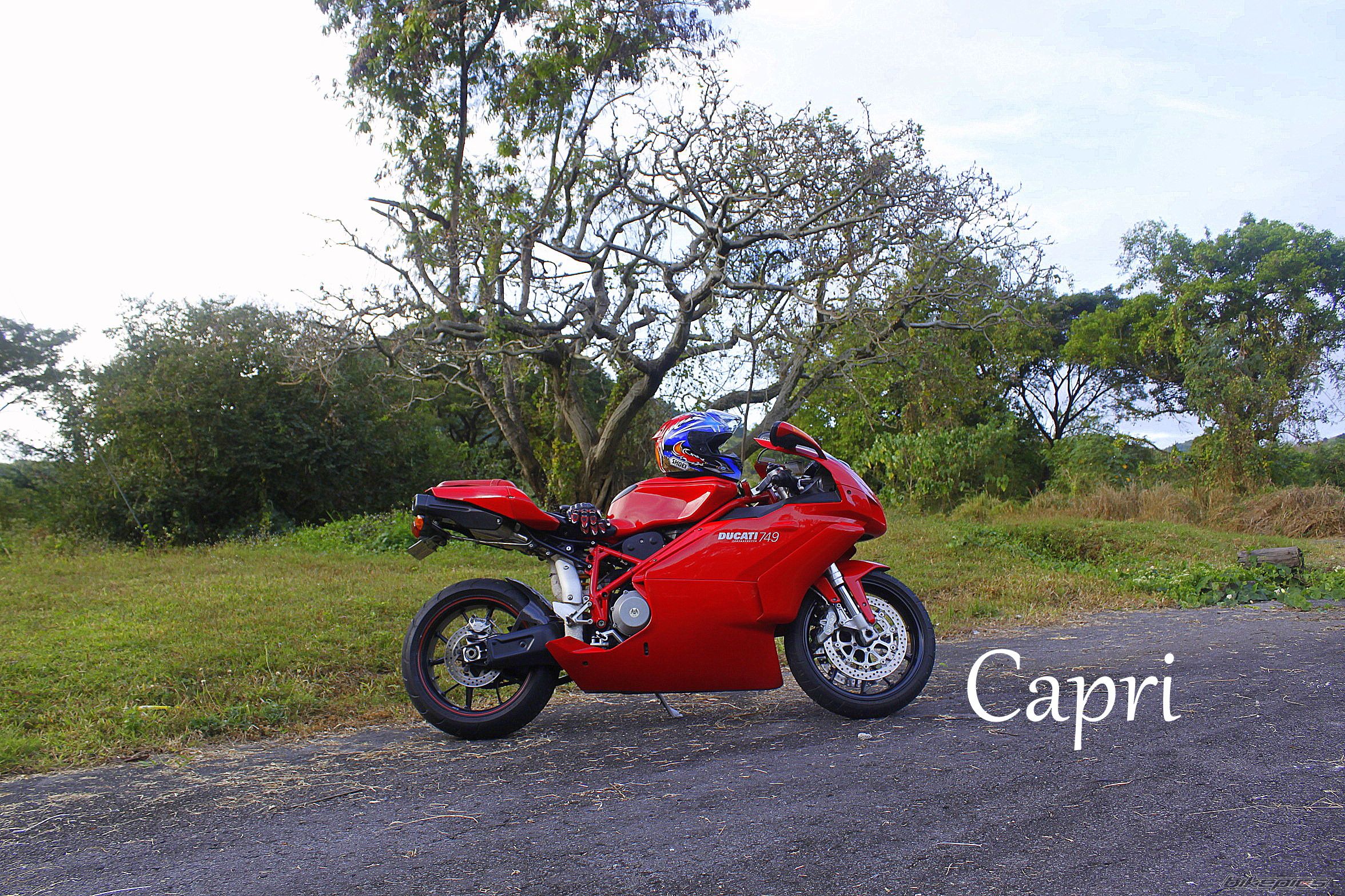 2006 DUCATI 749 | Picture 2129203 motorcycle photo