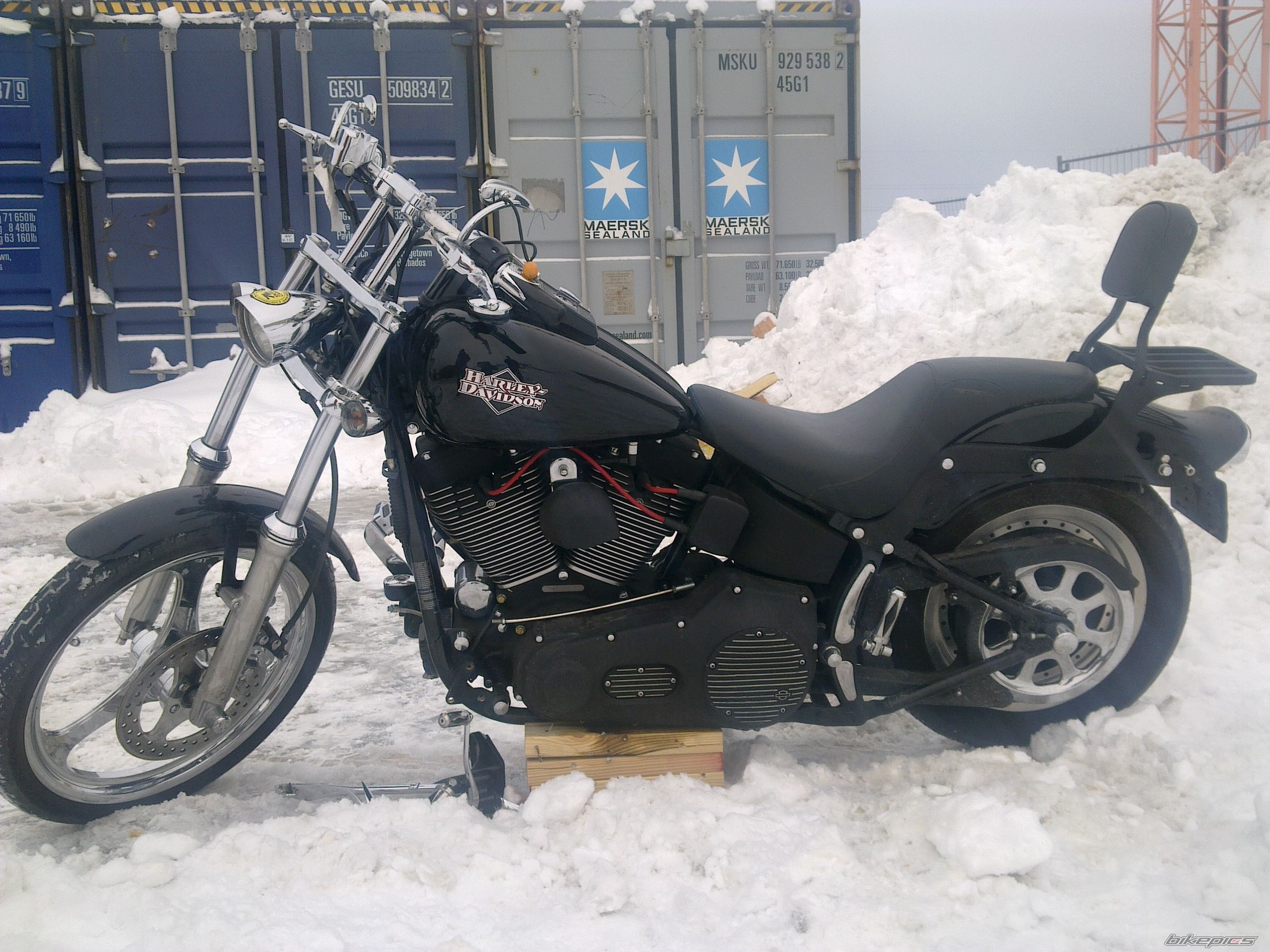 2005 HARLEY DAVIDSON FXSTB | Picture 2129298 motorcycle photo