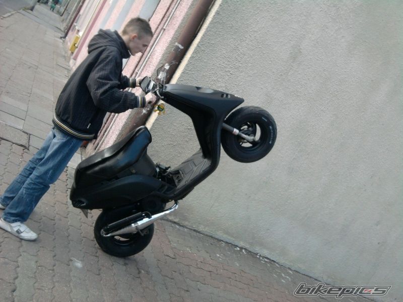 1993 PIAGGIO TYPHOON 50 | Picture 2129466 motorcycle photo