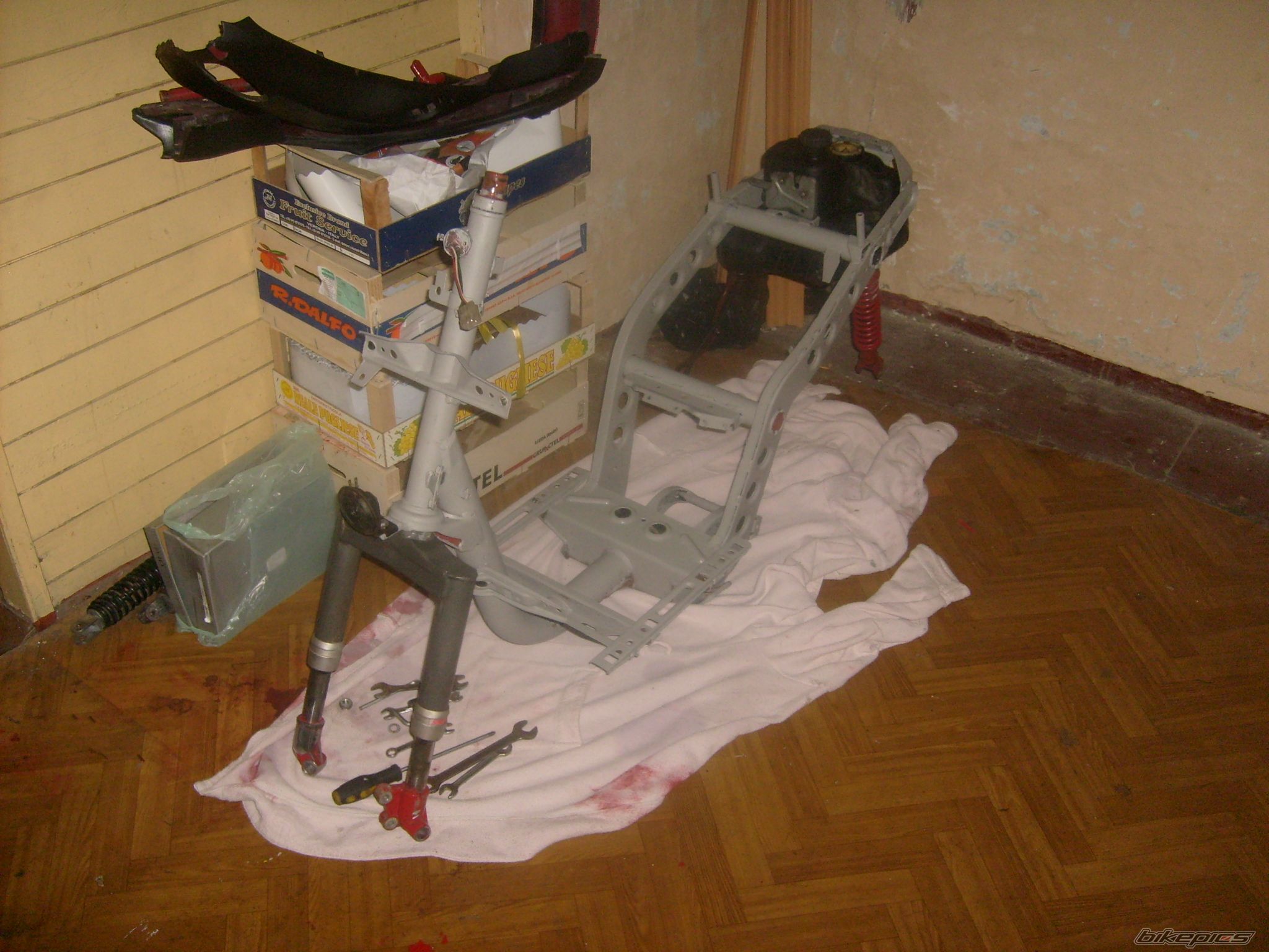 1993 PIAGGIO TYPHOON 50 | Picture 2129467 motorcycle photo