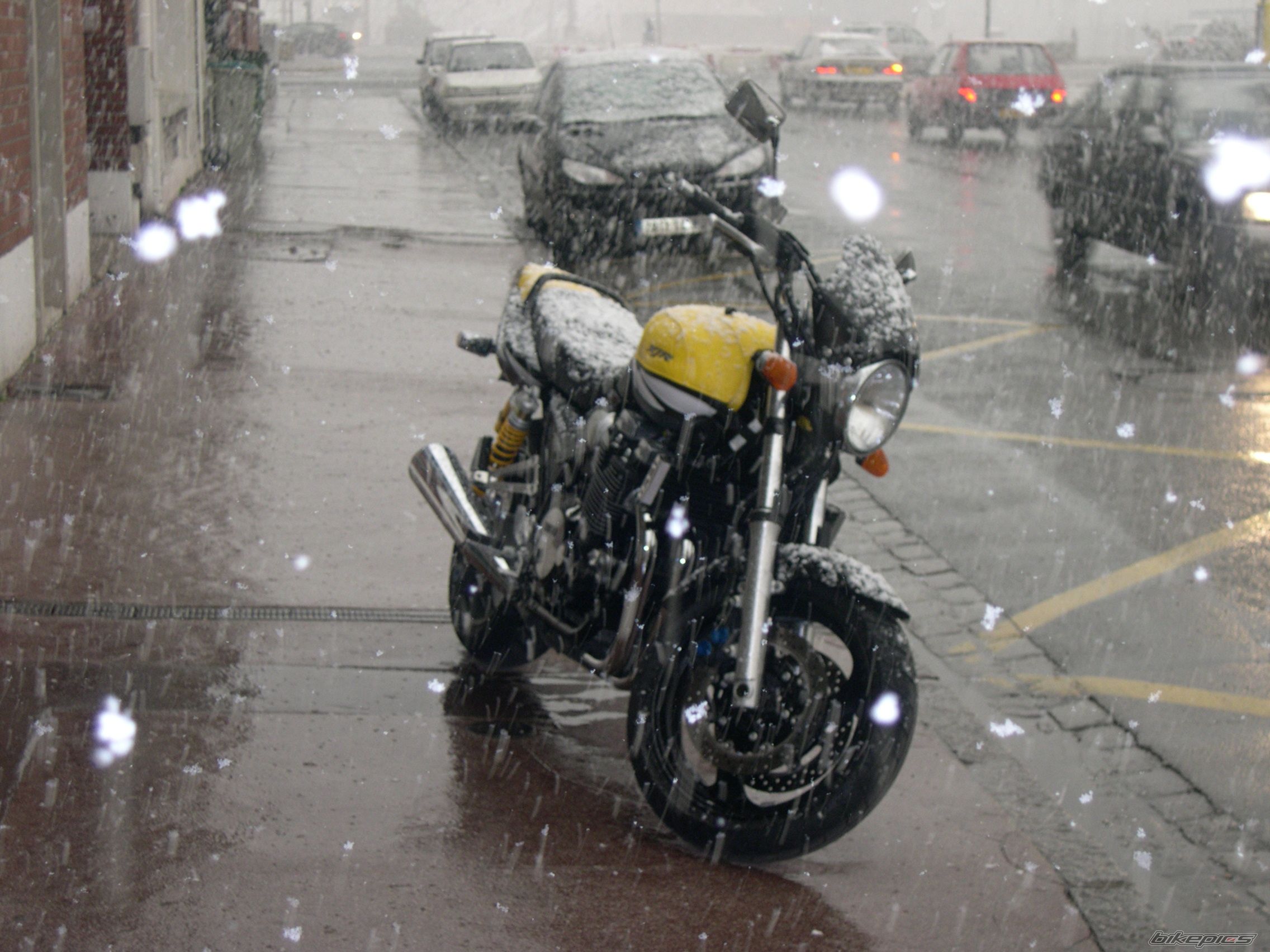 2003 YAMAHA XJR 1300 | Picture 2129637 motorcycle photo