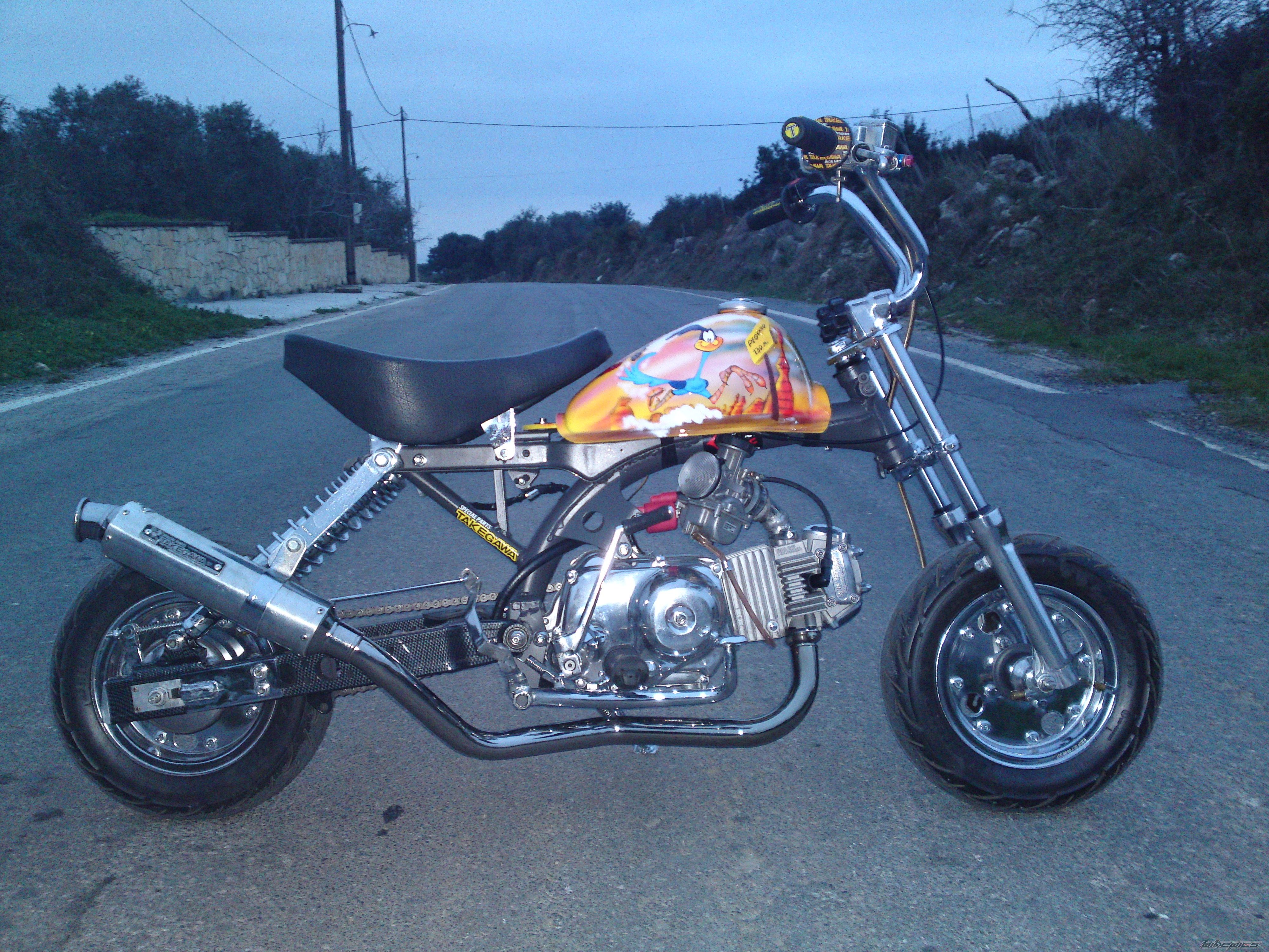 2010 HONDA Z 50 | Picture 2129878 motorcycle photo