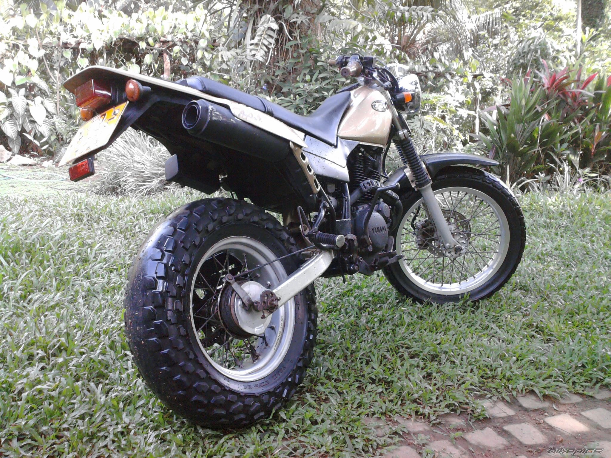 2003 YAMAHA TW 200 | Picture 2129883 motorcycle photo