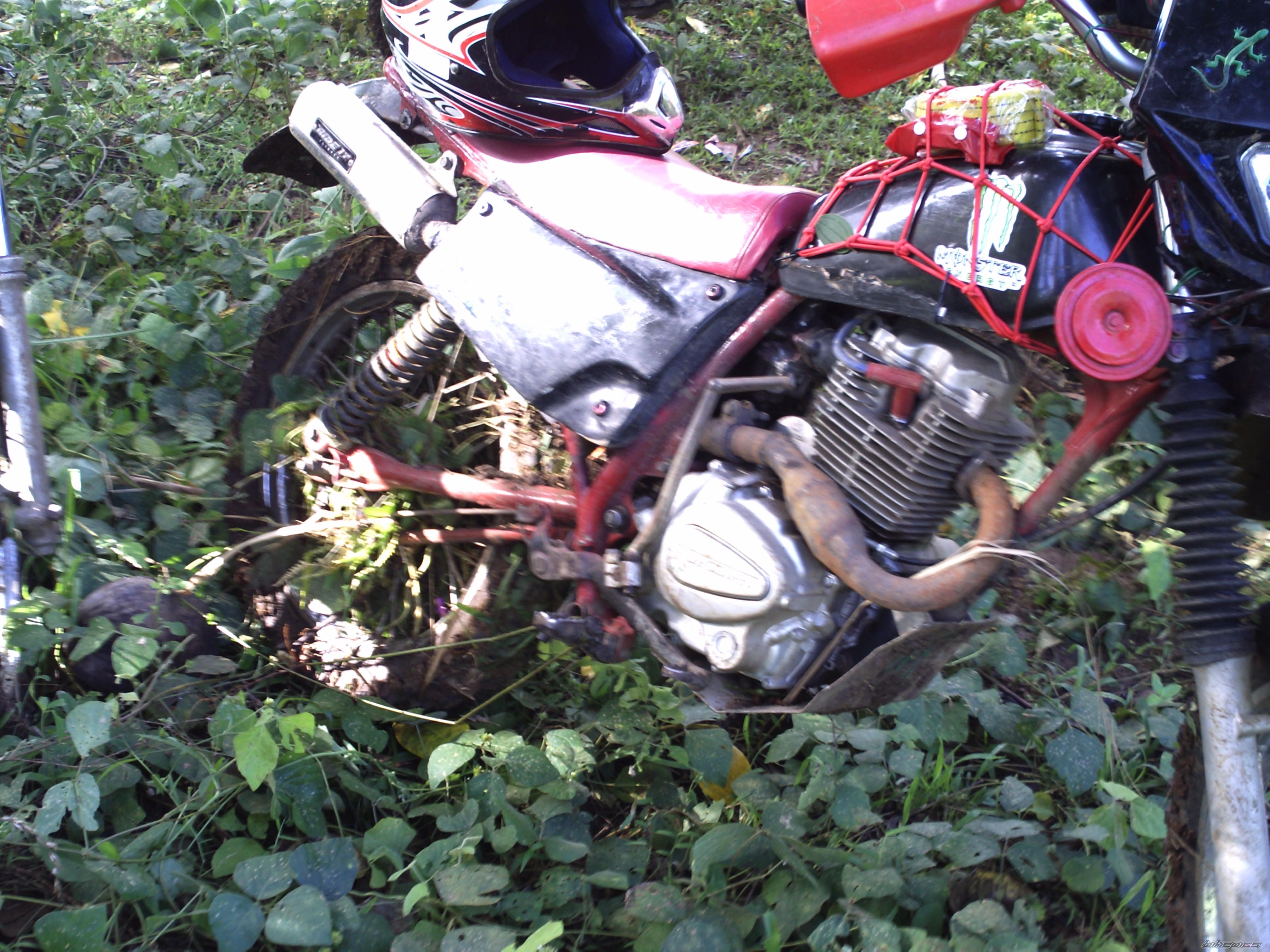 2011 HONDA XL 185 | Picture 2130372 motorcycle photo