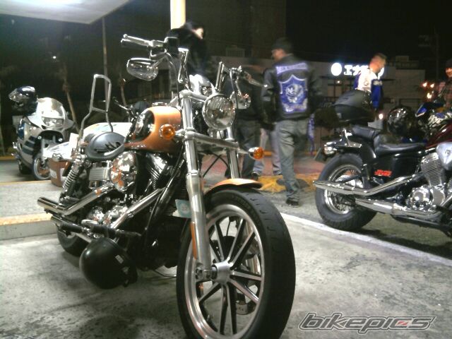 2008 HARLEY DAVIDSON FXDL | Picture 2131344 motorcycle photo