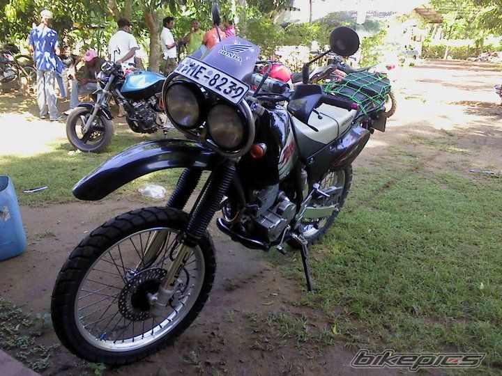 1999 HONDA XR 250 BAJA | Picture 2131845 motorcycle photo