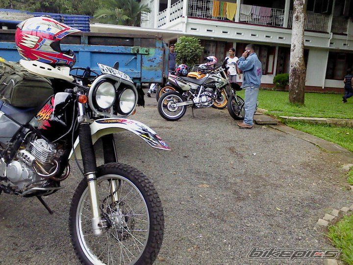 1999 HONDA XR 250 BAJA | Picture 2131852 motorcycle photo