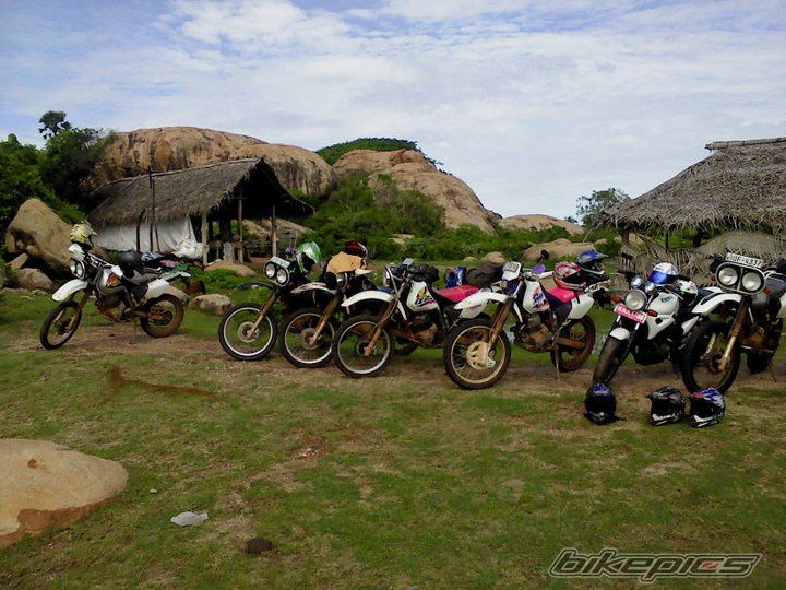 1999 HONDA XR 250 BAJA | Picture 2131857 motorcycle photo