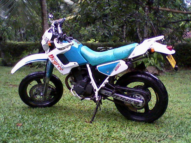 1999 HONDA XR 250 BAJA | Picture 2131861 motorcycle photo