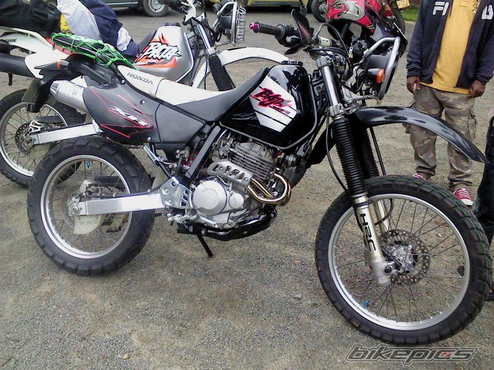 1999 HONDA XR 250 BAJA | Picture 2131862 motorcycle photo