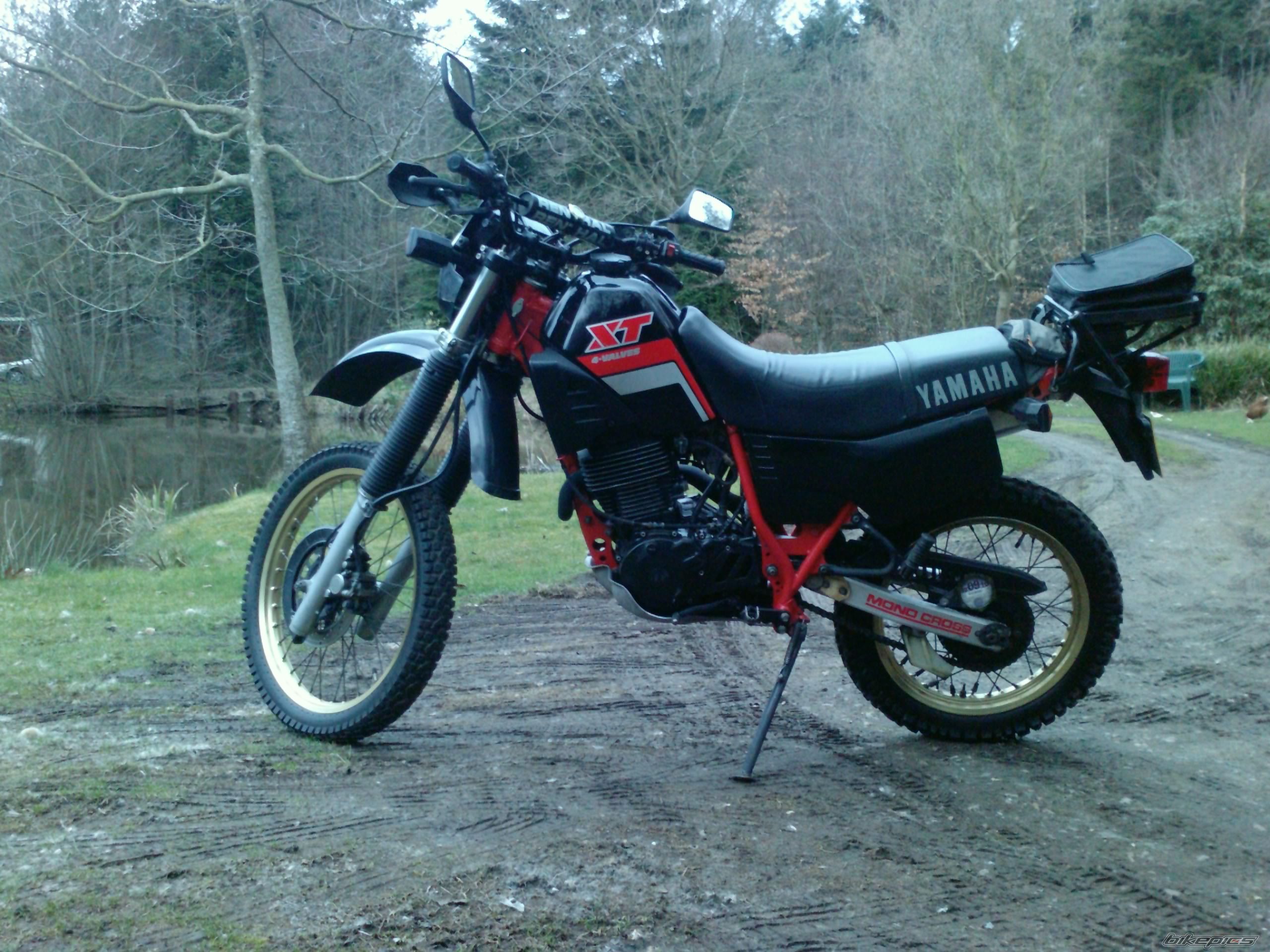 1984 YAMAHA XT 600 | Picture 2132121 motorcycle photo