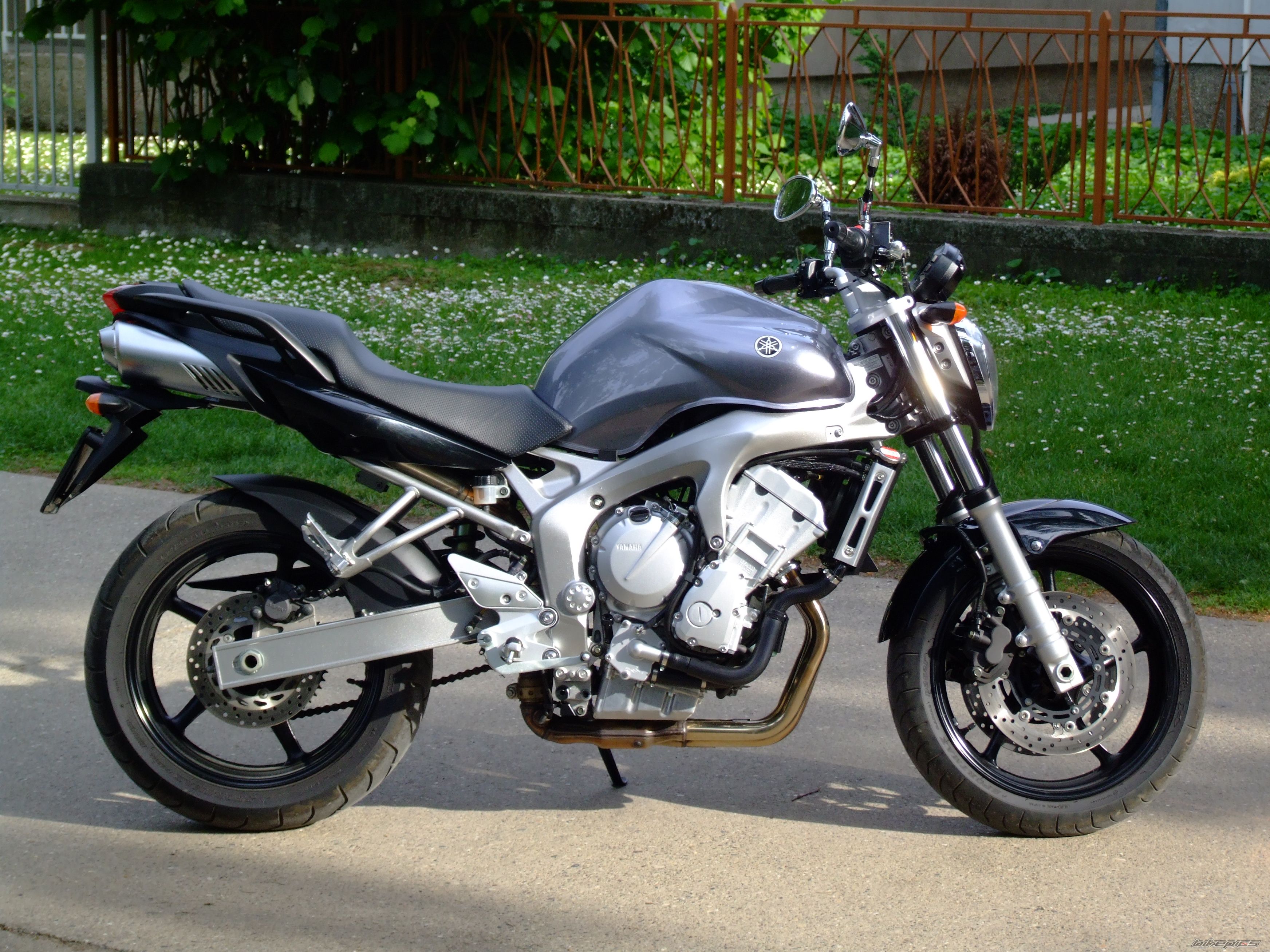 2008 YAMAHA FZ6N | Picture 2132931 motorcycle photo