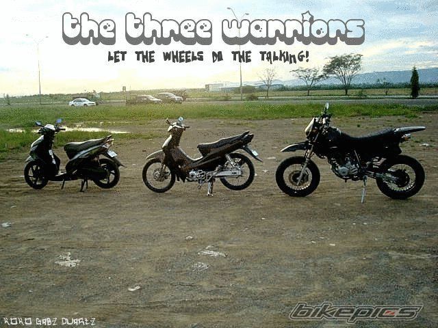 2008 HONDA XR 200 | Picture 2133345 motorcycle photo