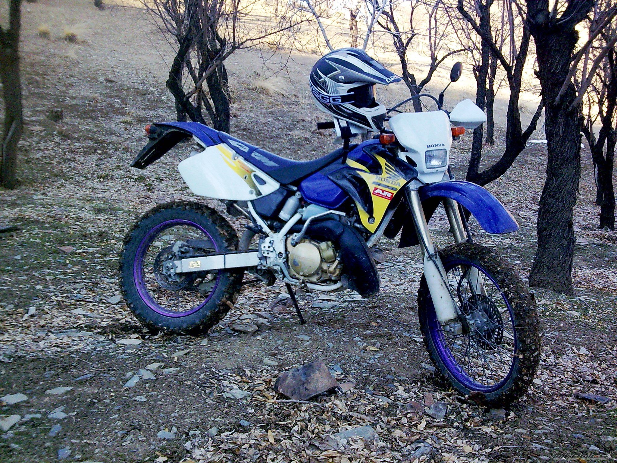 2009 HONDA CRM 250 | Picture 2133403 motorcycle photo
