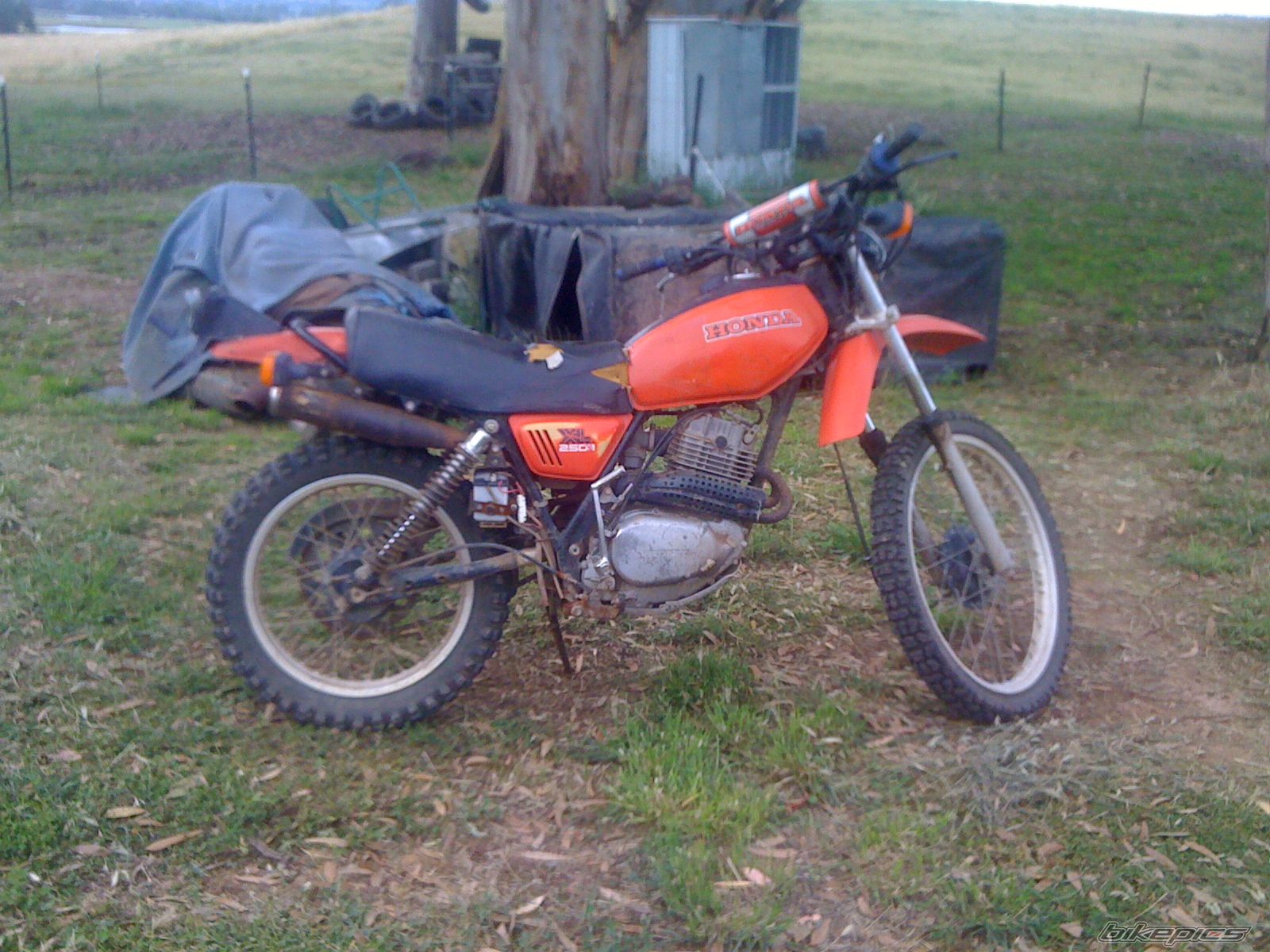 1979 HONDA XL250S | Picture 2133468 motorcycle photo
