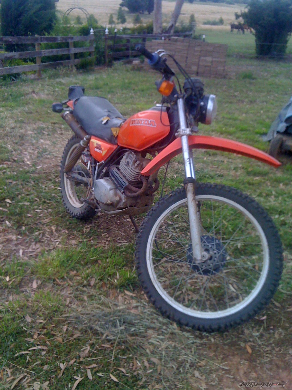 1979 HONDA XL250S | Picture 2133469 motorcycle photo