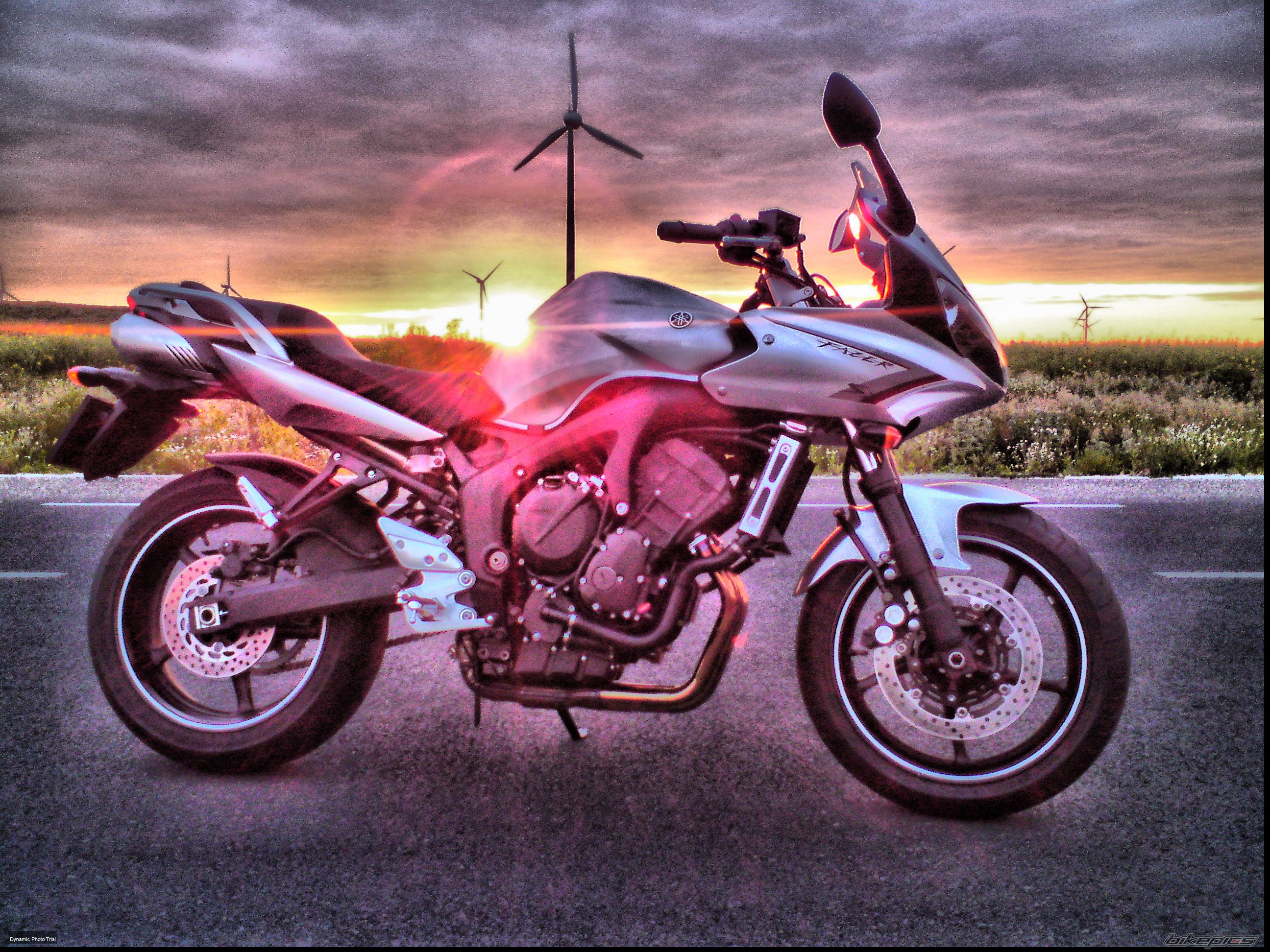 2008 YAMAHA FZ6 FAZER | Picture 2134523 motorcycle photo
