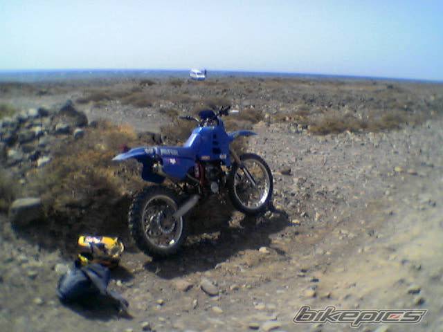 1992 ALFER GR 280 | Picture 213500 motorcycle photo