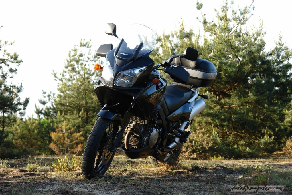 2005 SUZUKI DL 1000 | Picture 2135524 motorcycle photo