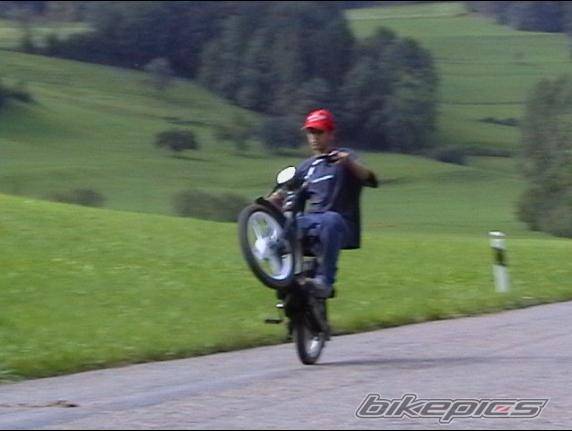 1998 PIAGGIO CIAO 50 | Picture 213557 motorcycle photo