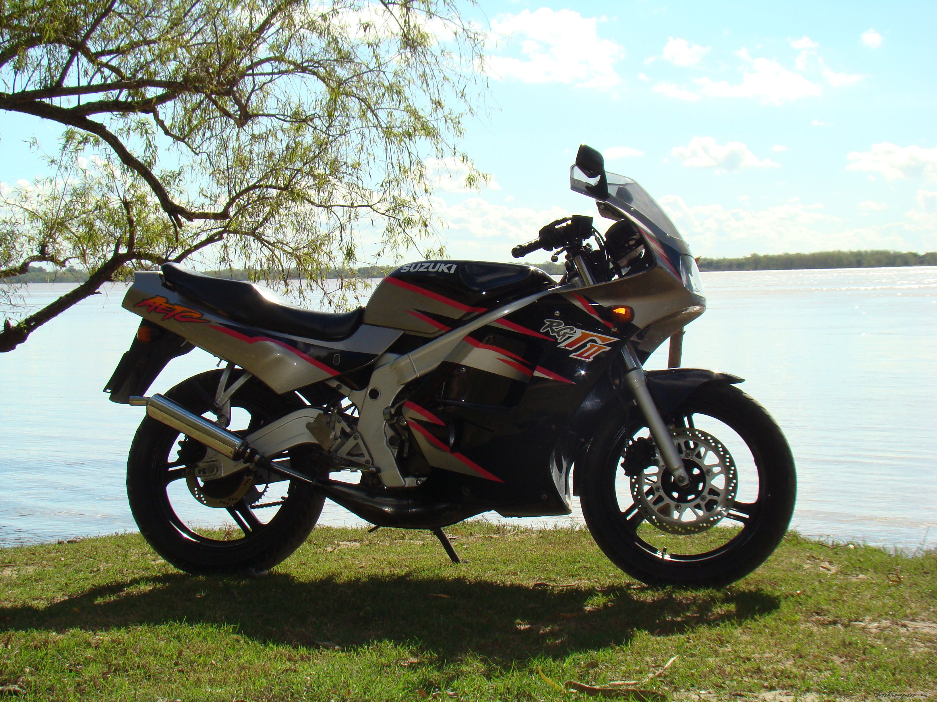 1998 SUZUKI RGR 150 | Picture 2135751 motorcycle photo